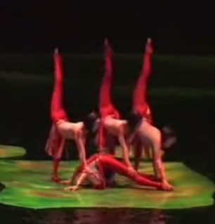 cirque du soleil o at o theater in the bellagio las vegas. get the best price on the ticket