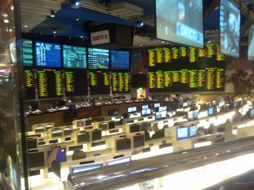side view of the sports book