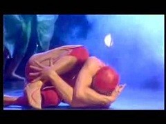 Cirque Du Soleil k