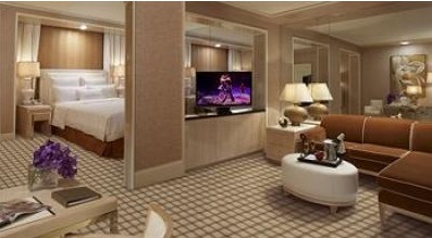 suite with living room