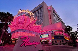 cheap vegas hotels flamingo las vegas night