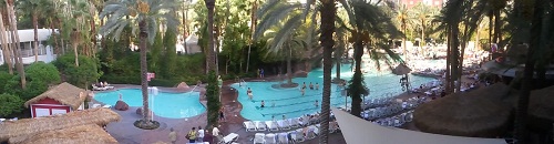 wide angle view of flamingo swimming pool