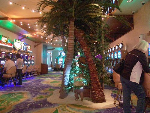 fake palms and fake san