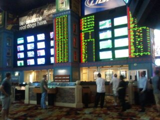 stand up sports book 
