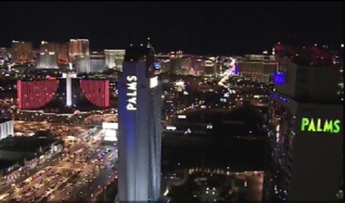 aerial view of palms