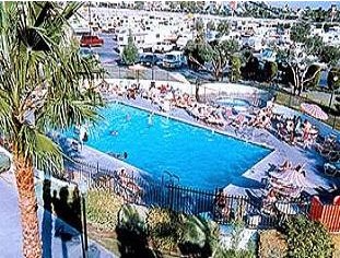 swimming pool is nice but boring