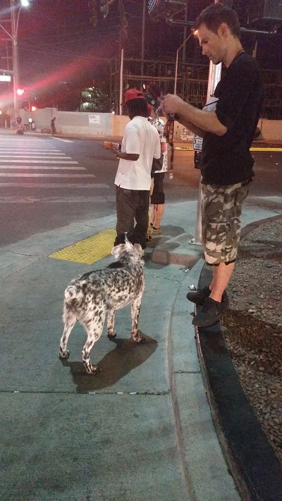 Lots of Young People travel with a dog and usually a guitar also