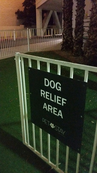 Every Hotel has a dog relief area, just do not expect to see real grass but dogs do not seem to know the difference. Collection bags are provided.