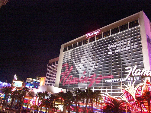 donny and marie wrap on the pink  bldg of the flaming