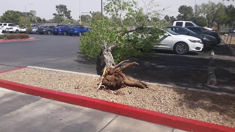High Winds are very common in Las Vegas