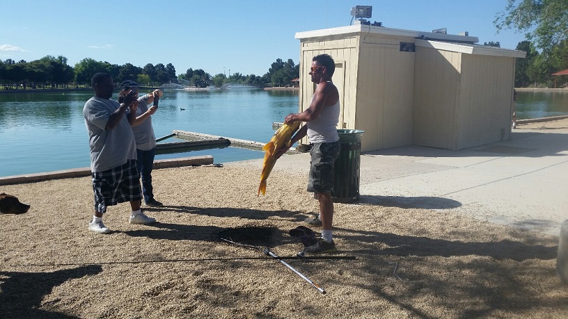 A Thirty Pound Carp is caught and put back in the pond by a local fishermen