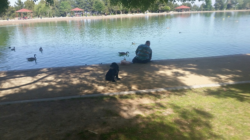 A dog and His Man relax at the Pond