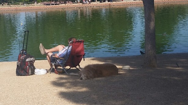 Fishing and Napping are popular at Sunset Park
