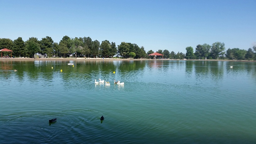 The pond is stocked with rainbow trout and channel catfish