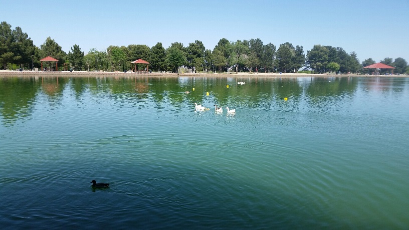 Fishing is Free, Fish are stocked Monthly by Clark County