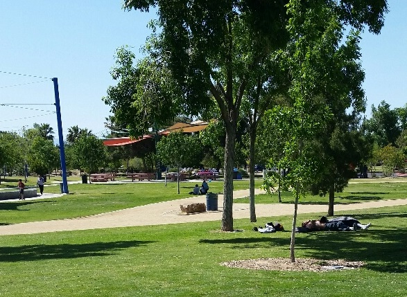 The Park has plenty of spots to take a nap, either in the sun or the shade
