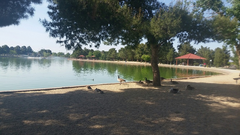 The Gravel at the pond is kept clean and raked