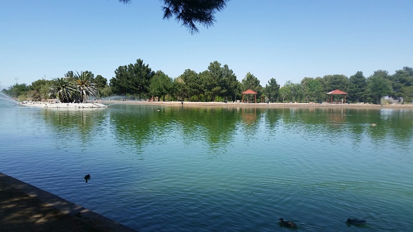 The Pond is 14 acres and is the center piece to the Park