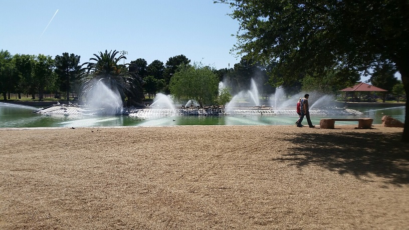 The Park is kept remarkably clean considering the number of Geese and Ducks.