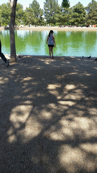 Contrasting light and glistening water makes for great pictures